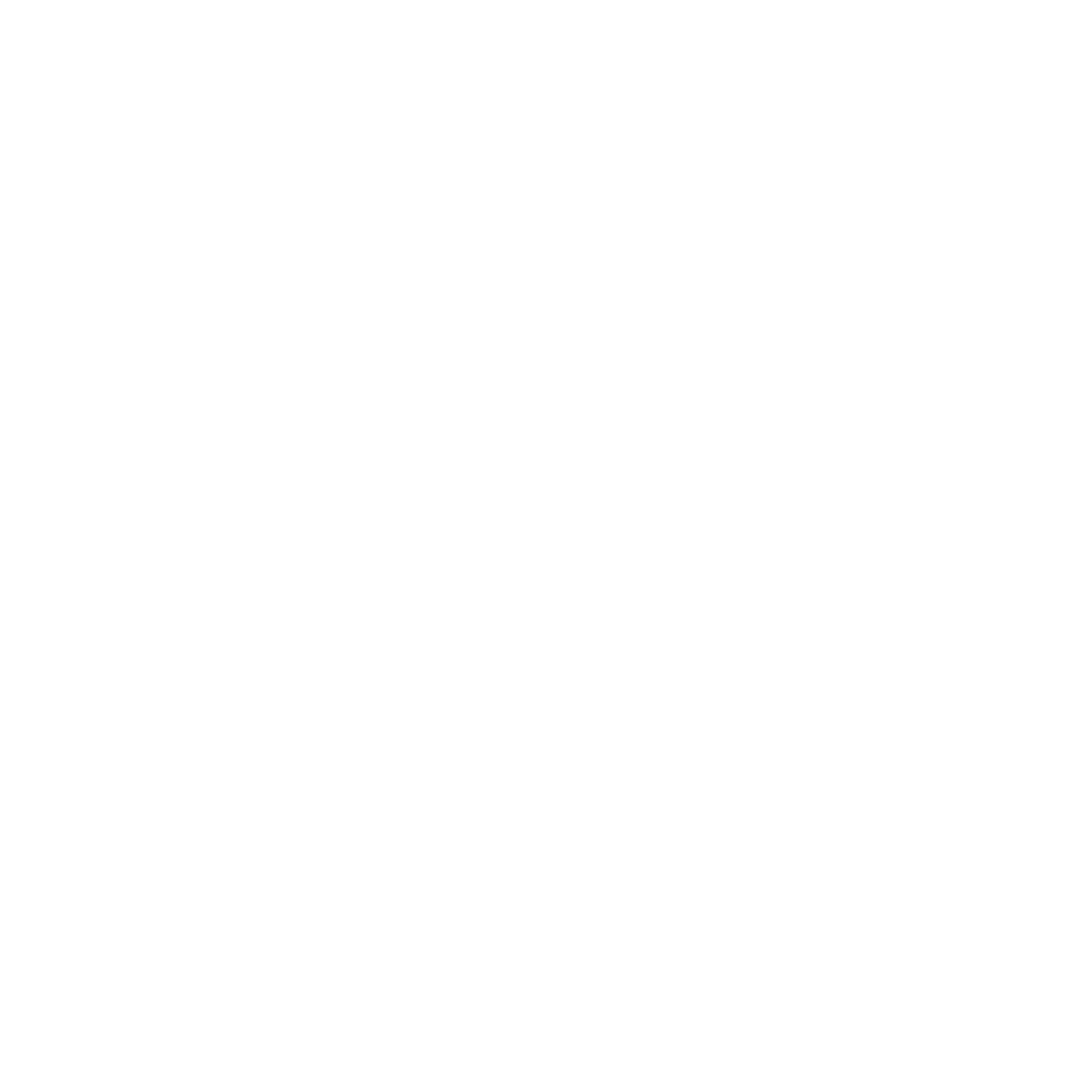 Website+NN+Logo!-4.png